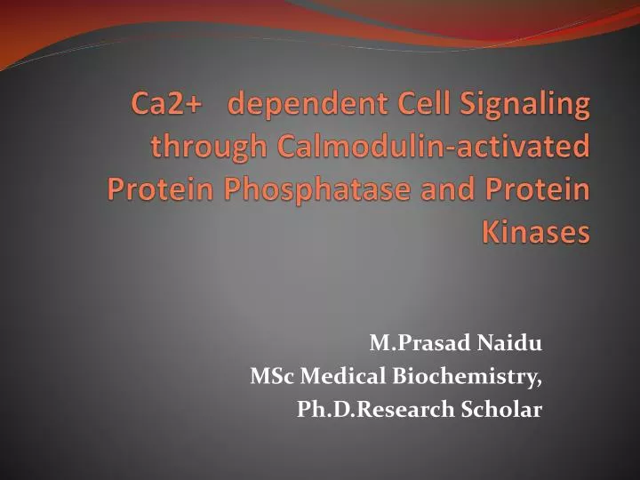 ca2 dependent cell signaling through calmodulin activated protein phosphatase and protein kinases