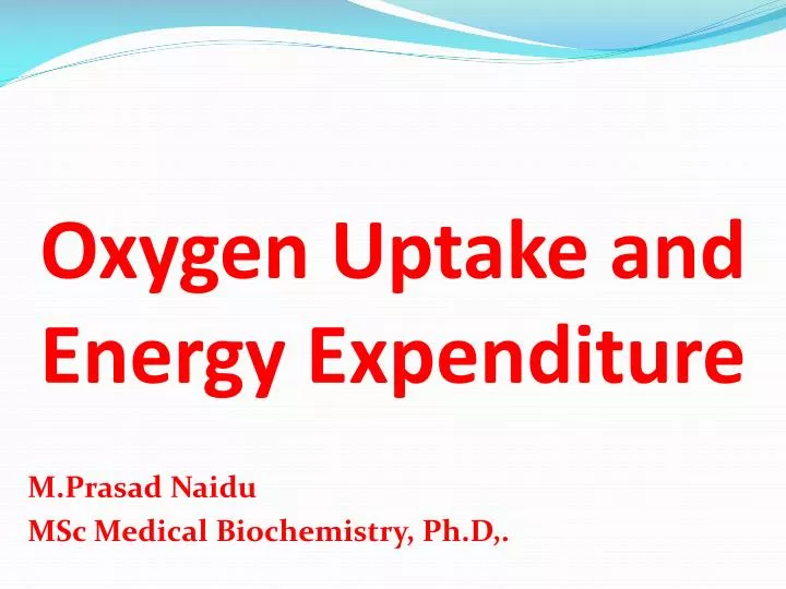 oxygen uptake and energy expenditure