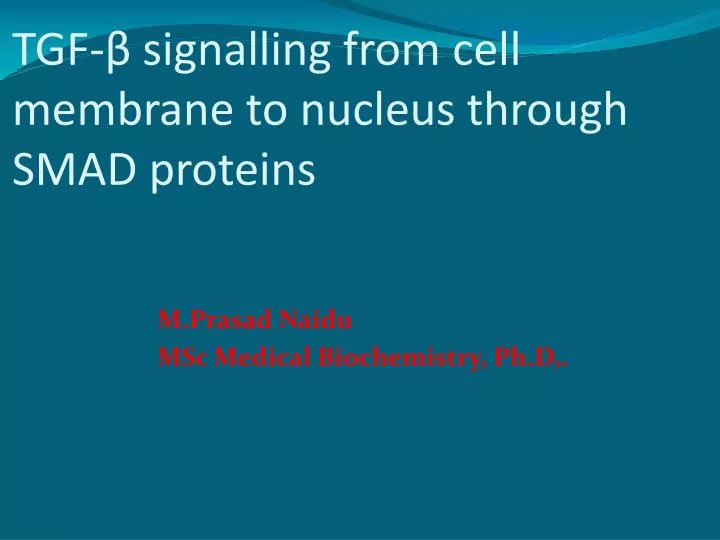 tgf signalling from cell membrane to nucleus through smad proteins