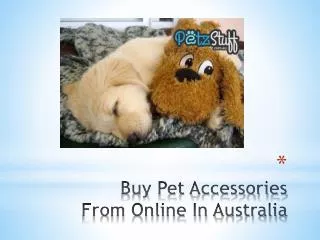Buy Pet Accessories From Online In Australia