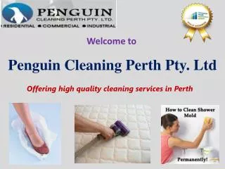 Penguin Cleaning Perth Pty Ltd