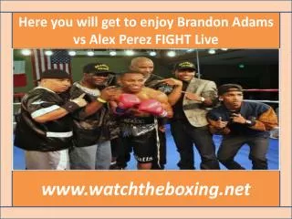 How To Watch Brandon Adams vs Alex Perez live online