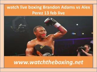 watch Brandon Adams vs Alex Perez live streaming >>>>>.