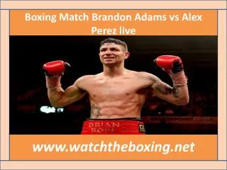boxing Brandon Adams vs Alex Perez live fight