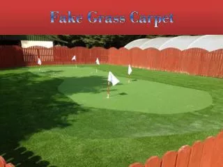 Fake Grass Carpet