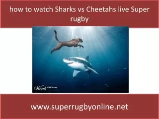 Sharks vs Cheetahs Live super rugby match sports Stream 2015