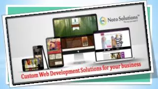 Custom web development Solutions for your business via NOTO