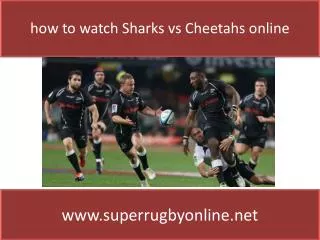 watch Sharks vs Cheetahs live