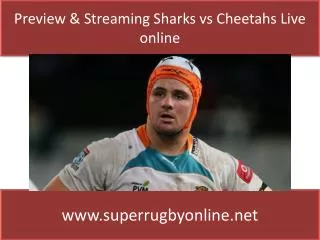 Watch Sharks vs Cheetahs Live Stream 2015 Online