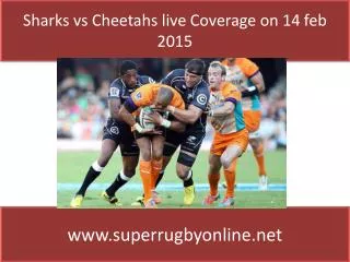 how to watch Sharks vs Cheetahs online
