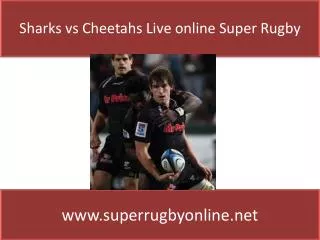 Watch Sharks vs Cheetahs - live Super Rugby streaming