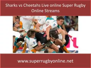 Watch Sharks vs Cheetahs Live Stream Rugby
