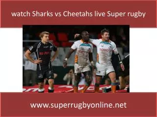 Preview & Streaming Sharks vs Cheetahs Live online