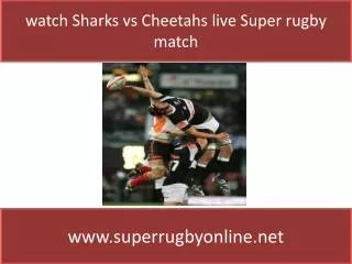 watch Sharks vs Cheetahs online stream