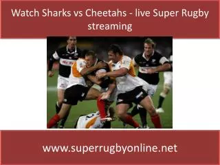 watch Super rugby Sharks vs Cheetahs online