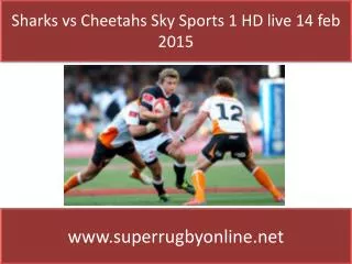 Sharks vs Cheetahs Sky Sports 1 HD live 14 feb 2015