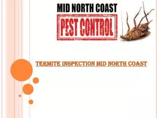 Termite inspection mid north coast