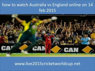 where watch Cricket Worldcup india vs pakistan 15 feb 2015
