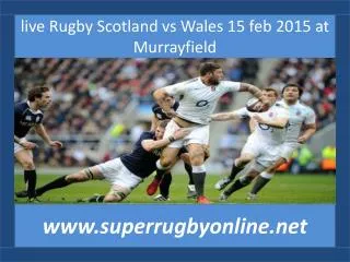 live Rugby Scotland vs Wales 15 feb 2015 at Murrayfield