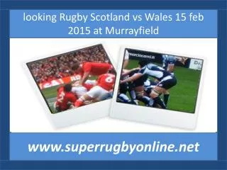 looking Rugby Scotland vs Wales 15 feb 2015 at Murrayfield