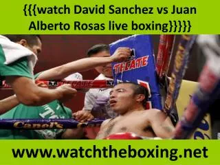 why to watch David Sanchez vs Juan Alberto Rosas
