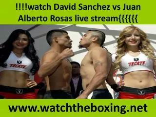live fighting Sanchez vs Rosas