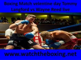 boxing Tommy Langford vs Wayne Reed live fight