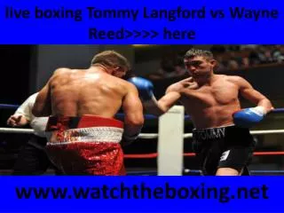 Tommy Langford vs Wayne Reed boxing sports @@@@}}} live