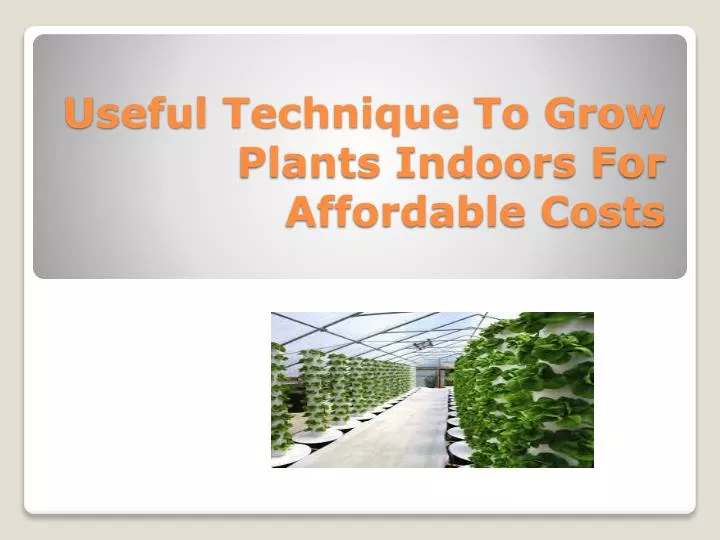 useful technique to grow plants indoors for affordable costs