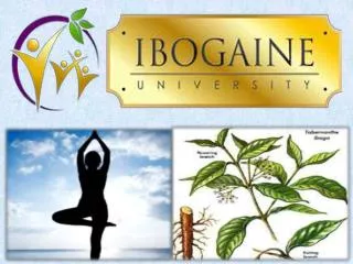 Ibogaine University