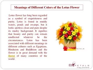 meanings of different colors of the lotus flower