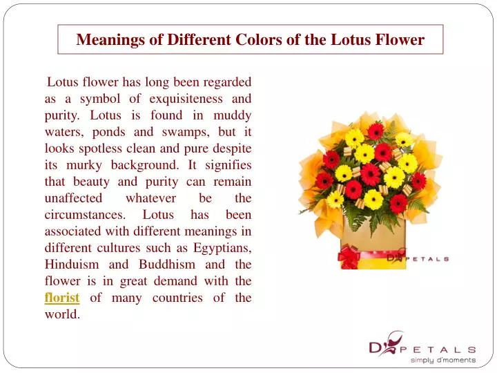 meanings of different colors of the lotus flower