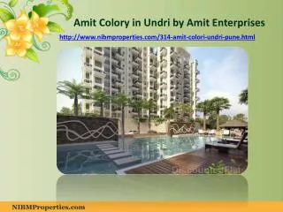 Amit Colory in Undri Pune