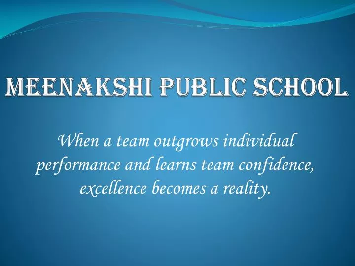 meenakshi public school