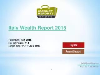Italy Wealth Management Industry Report 2015