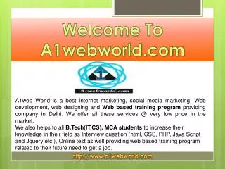 Best Internet Marketing service provider-A1web world