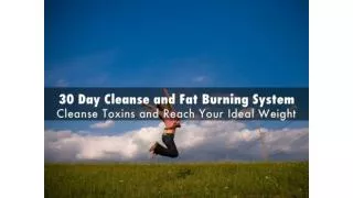 30 Day Cleanse and Fat Burning System