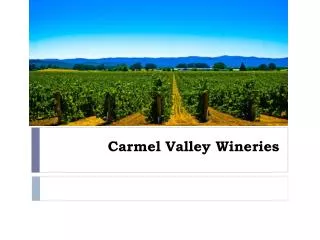 Carmel Valley Wineries
