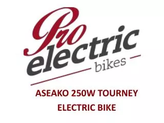 Pro Electric Bikes - ASEAKO 250W TOURNEY Electric Bikes