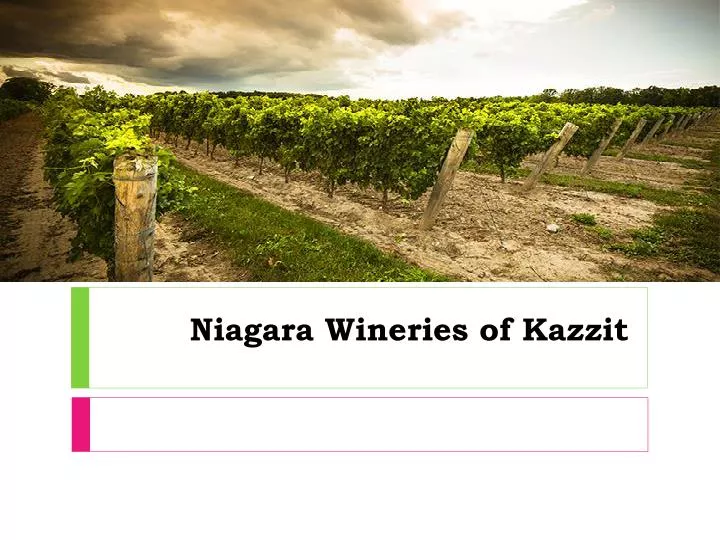 niagara wineries of kazzit