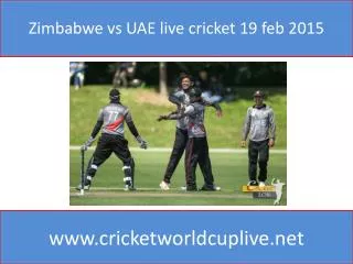 Zimbabwe vs UAE live cricket 19 feb 2015