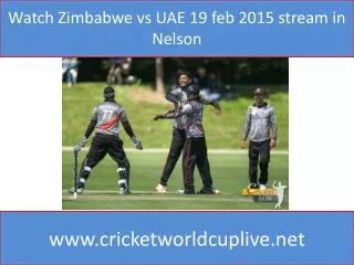 Watch Zimbabwe vs UAE 19 feb 2015 stream in Nelson