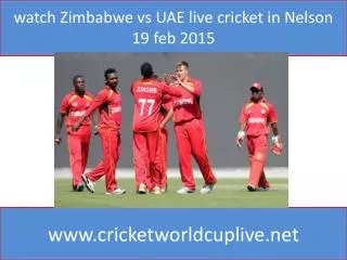 watch Zimbabwe vs UAE live cricket in Nelson 19 feb 2015