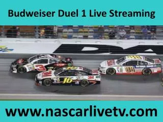 Nascar Live Budweiser Duel 1 Daytona International Speedway