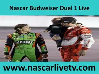 Live Nascar Budweiser Duel 1