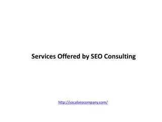 Services Offered by SEO Consulting