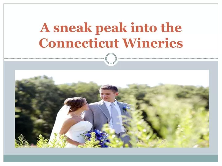 a sneak peak into the connecticut wineries