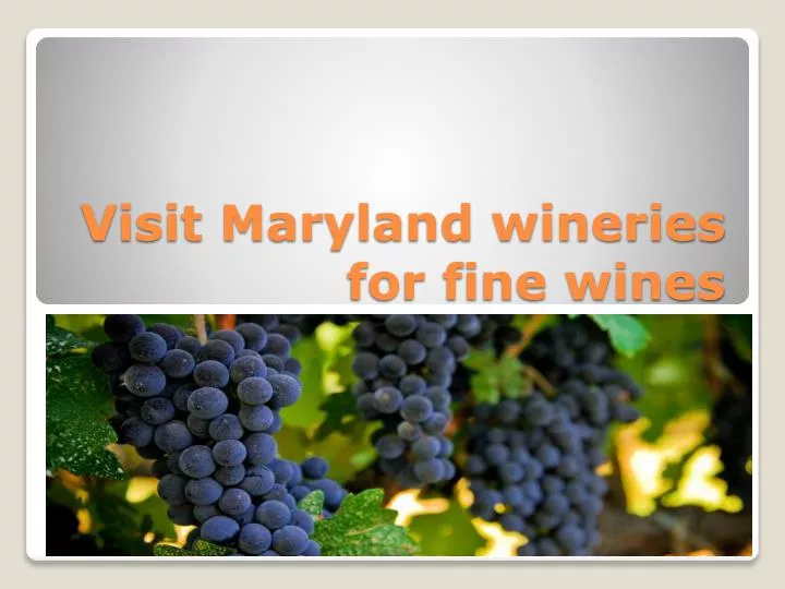 visit maryland wineries for fine wines