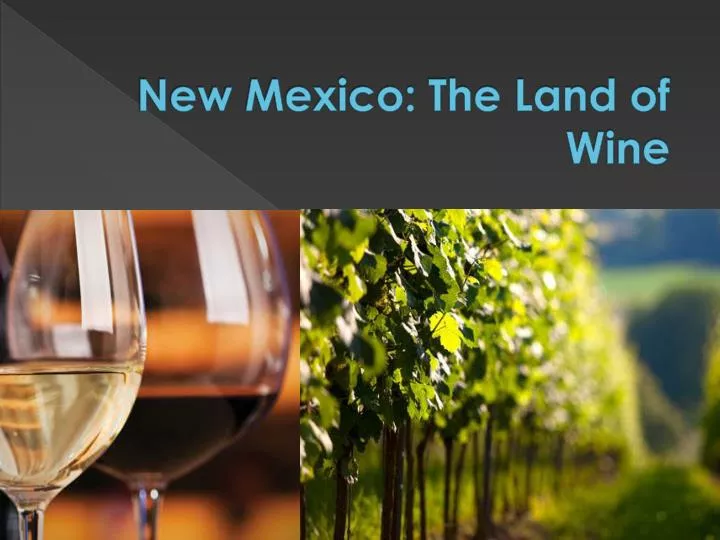 new mexico the land of wine